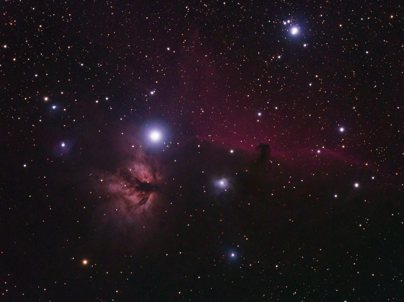 Horsehead and Flame Nebulae